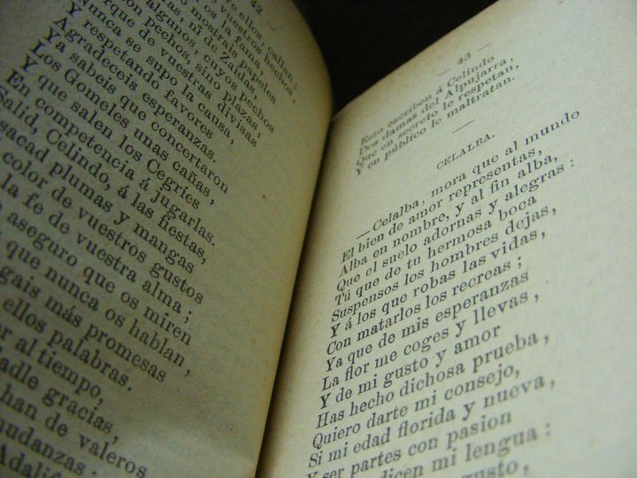 biblioteca 032 copy.jpg